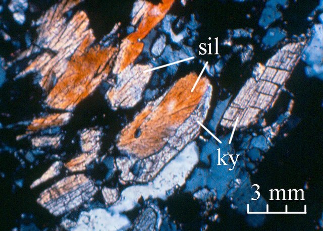 Lame (microscopie) — Wikipédia