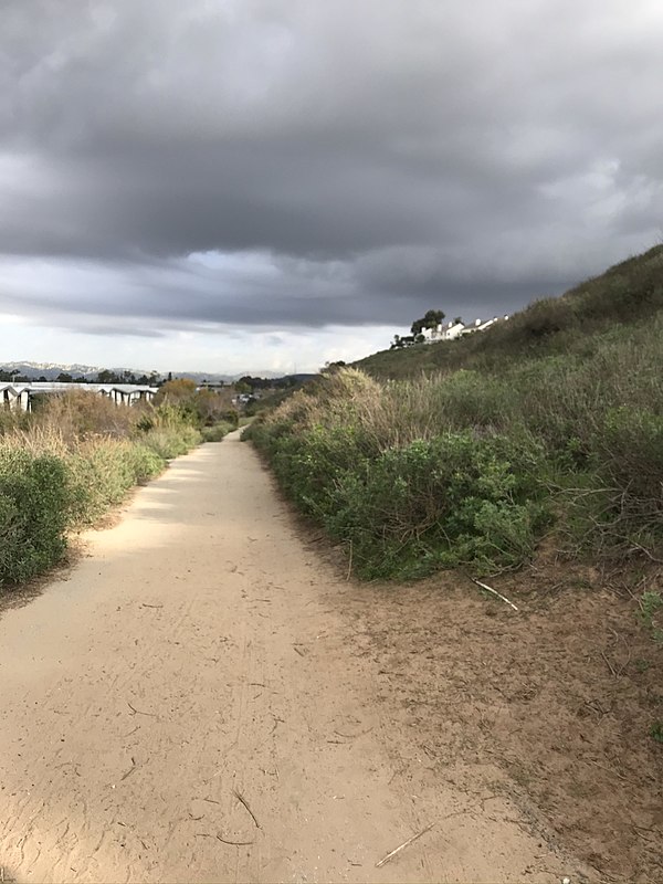 The LMU Fire Road along the Westchester Bluffs above Playa Vista is a popular jogging track.