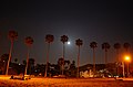 Palm trees along La Jolla Shores boardwalk