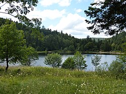 Lac de Blanchemer.JPG