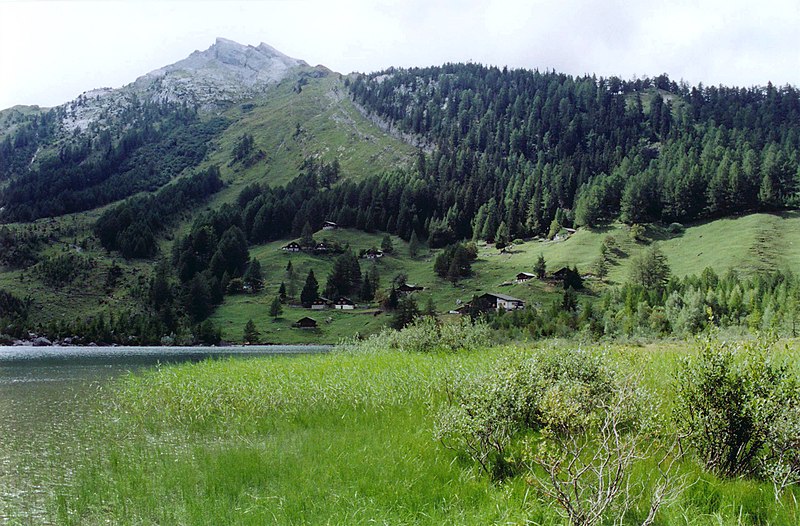 File:Lac de Derborence Aout 2006.jpg