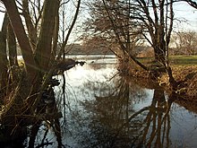 Mündung des Kandelbachs/Kanzelbachs in den Neckar