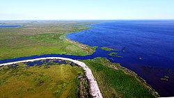 Lagoa Feia: Hidrografia, Importância econômica, Ecossistema