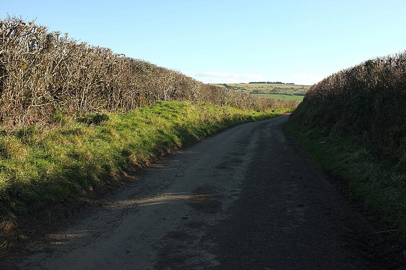 File:Lane from Helstone - geograph.org.uk - 5460379.jpg