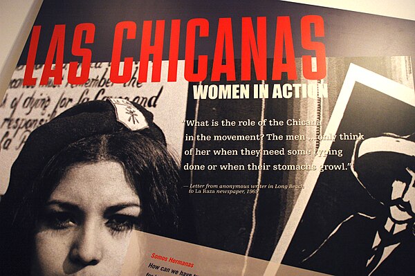 Las Chicanas Poster at LA Plaza de Cultura y Artes