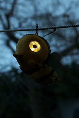 Glowing solar bee in the dark, Cologne, Germany