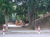 Català: Lledoner. Baixada del Mas amb Passeig Muntanya (Sant Just Desvern). ca:Celtis australis. This is a a photo of a protected or outstanding tree in Catalonia, Spain, with id: MA-082212/AIL-08-2013 Object location 41° 23′ 20.16″ N, 2° 04′ 34.38″ E  View all coordinates using: OpenStreetMap