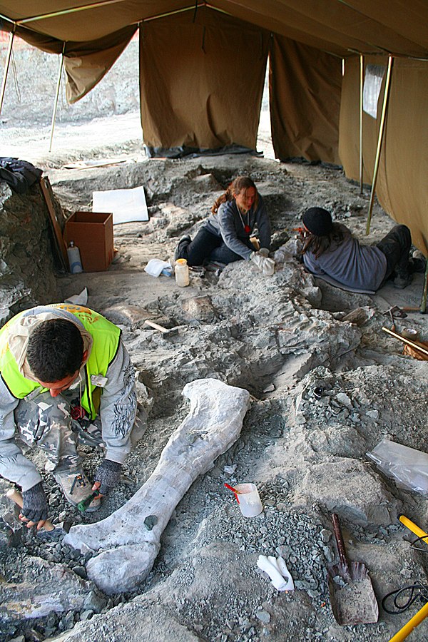 Paleontologists at work at the dinosaur site of Lo Hueco (Cuenca, Spain)