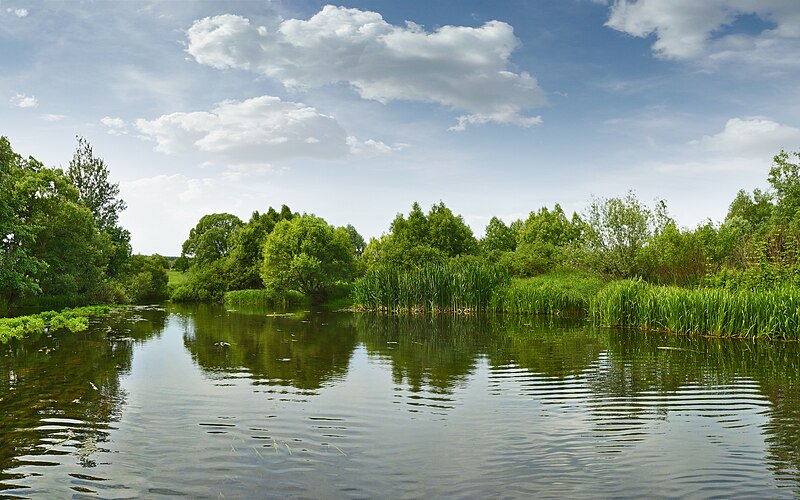 File:Lob Река Корень2.jpg