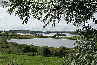 <span class="mw-page-title-main">Muckno Lake</span> Freshwater lake in the northeast of Ireland