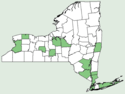 Lycium barbarum NY-dist-map.png