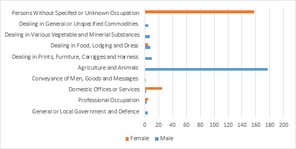 Male and Female Occupations 1881 Census Male and Female Occupations in Radwinter 1881.png