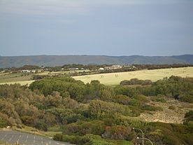 Agricultural area in Maslin Beach Maslin-Beach-1285.jpg