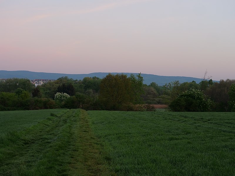 File:Meadow near Frankfurter Berg 10.jpg