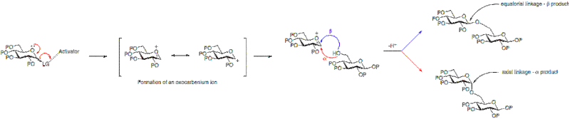 File:MechChemGlycosylation.gif