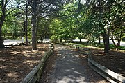 Wooded area in Family Farm