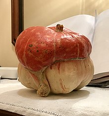 Красный мини-тюрбан pumpkin.jpg