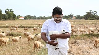 P. Ayngaranesan Sri Lankan politician