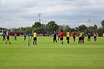 Vignette pour Saison 2011-2012 du Stade rennais FC