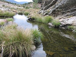 Navas de Estena - Vue