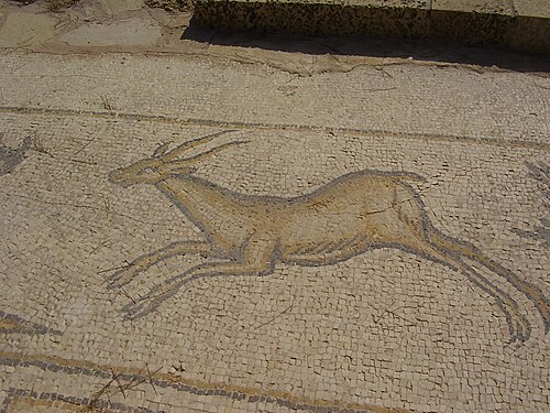 Byzantine-era mosaic of gazelle in Caesarea, Israel