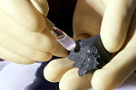 Miniatura per Meteorit Murchison
