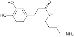 File:N-(4-aminobutyl)-3-(3,4-dihydroxyphenyl)propanamide.svg