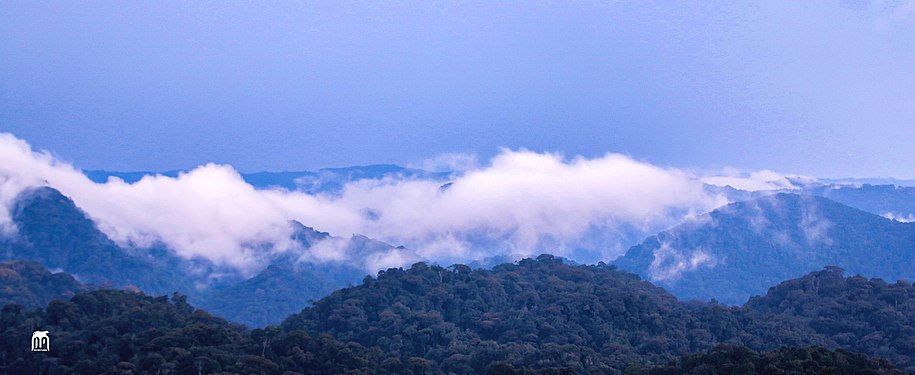 NYUNGWE CLOUDS Photo by Dpiskho