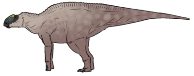 Naashoibitosaurus ostromi.png