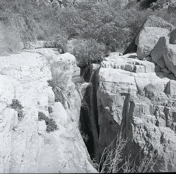 File:Nachal Arugot (997009453150005171.jpg