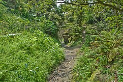 Paso de Nagoshi Lado de Kamakura.jpg