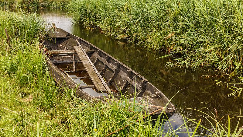 File:Nationaal Park Weerribben-Wieden. Wandeling over het Laarzenpad door veenmoeras van De Wieden 01.jpg