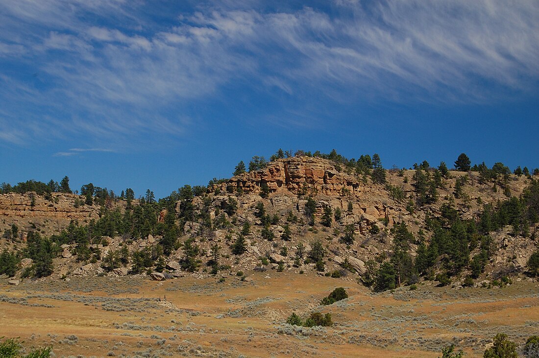 Condado de Yellowstone