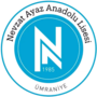 Миниатюра для Файл:Nevzat Ayaz Anadolu Lisesi logo.png