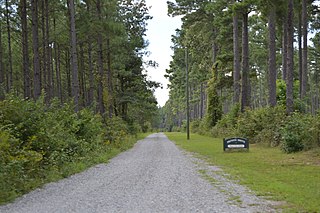 <span class="mw-page-title-main">Newington Archaeological Site</span> Archaeological site in Virginia, United States