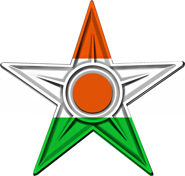 File:Niger Barnstar.png