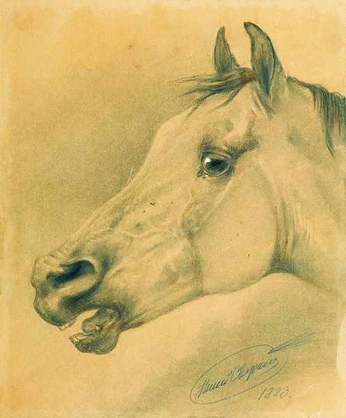 File:Nikolai Sverchkov - Head of a Horse.jpg