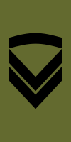 File:Norway-Army-OR-4b.svg