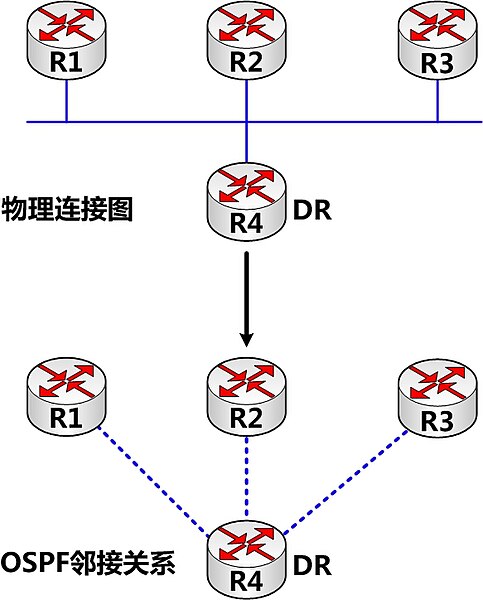 File:OSPF dr.jpg