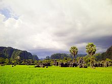 Karst landscape at Rammang-Rammang, South Sulawesi, Indonesia Obyek wisata Rammang-Rammang.jpg