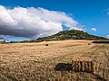 * Nomination Straw bales on a wheat field in front of the summit of Olarizu. Vitoria-Gasteiz, Basque Country, Spain --Basotxerri 19:42, 10 January 2018 (UTC) * Promotion Good quality --Halavar 19:46, 10 January 2018 (UTC)