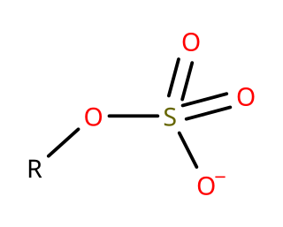 <span class="mw-page-title-main">Organosulfate</span> Organic compounds of the form R–O–SO₃ (charge –1)