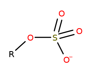<span class="mw-page-title-main">Organosulfate</span> Organic compounds of the form R–O–SO₃ (charge –1)