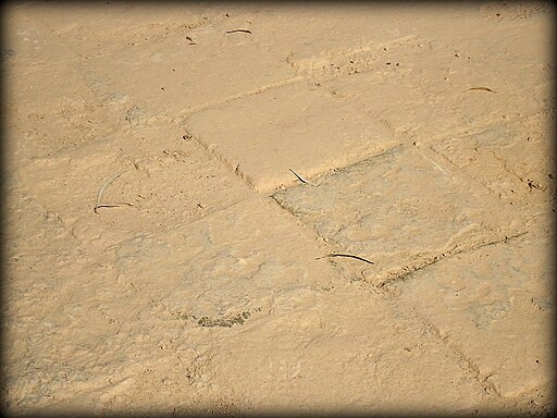 Original tiles of the processional street. Ancient Babylon, Mesopotamia, Iraq.