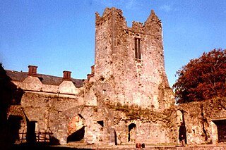 <span class="mw-page-title-main">Ormonde Castle</span> Historic site in County Tipperary, Ireland.