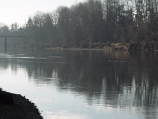 <span class="mw-page-title-main">Willamette Riverkeeper</span> Non profit organization