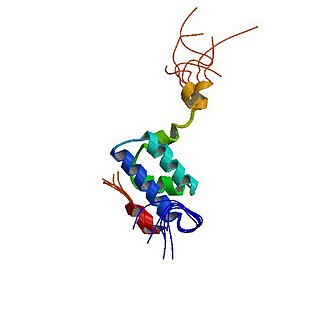TOM: Translocase of the outer membrane. Mitochondrial import receptor subunit TOM20. PBB Protein TOMM20 image.jpg