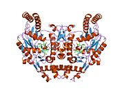 PDB 1m00 EBI.jpg