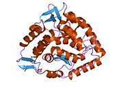 PDB 1tg2 EBI.jpg