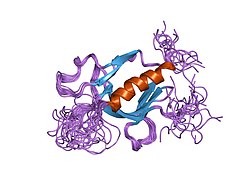 PDB 2coa EBI.jpg